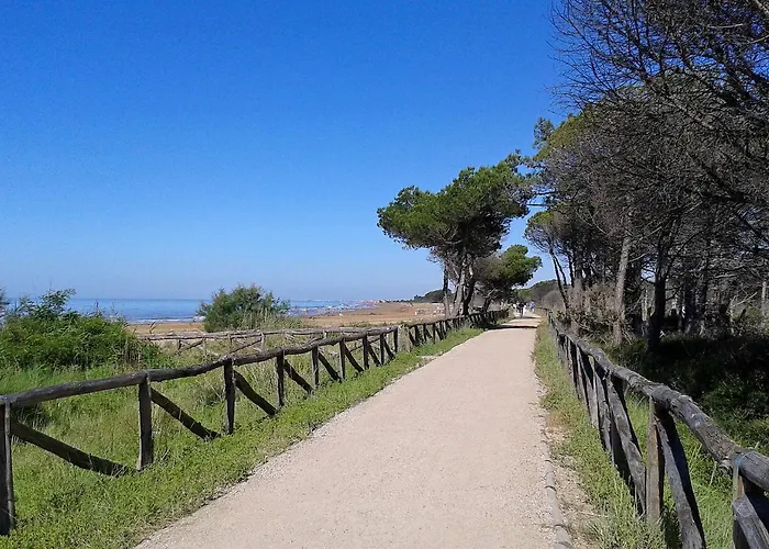 Torcello